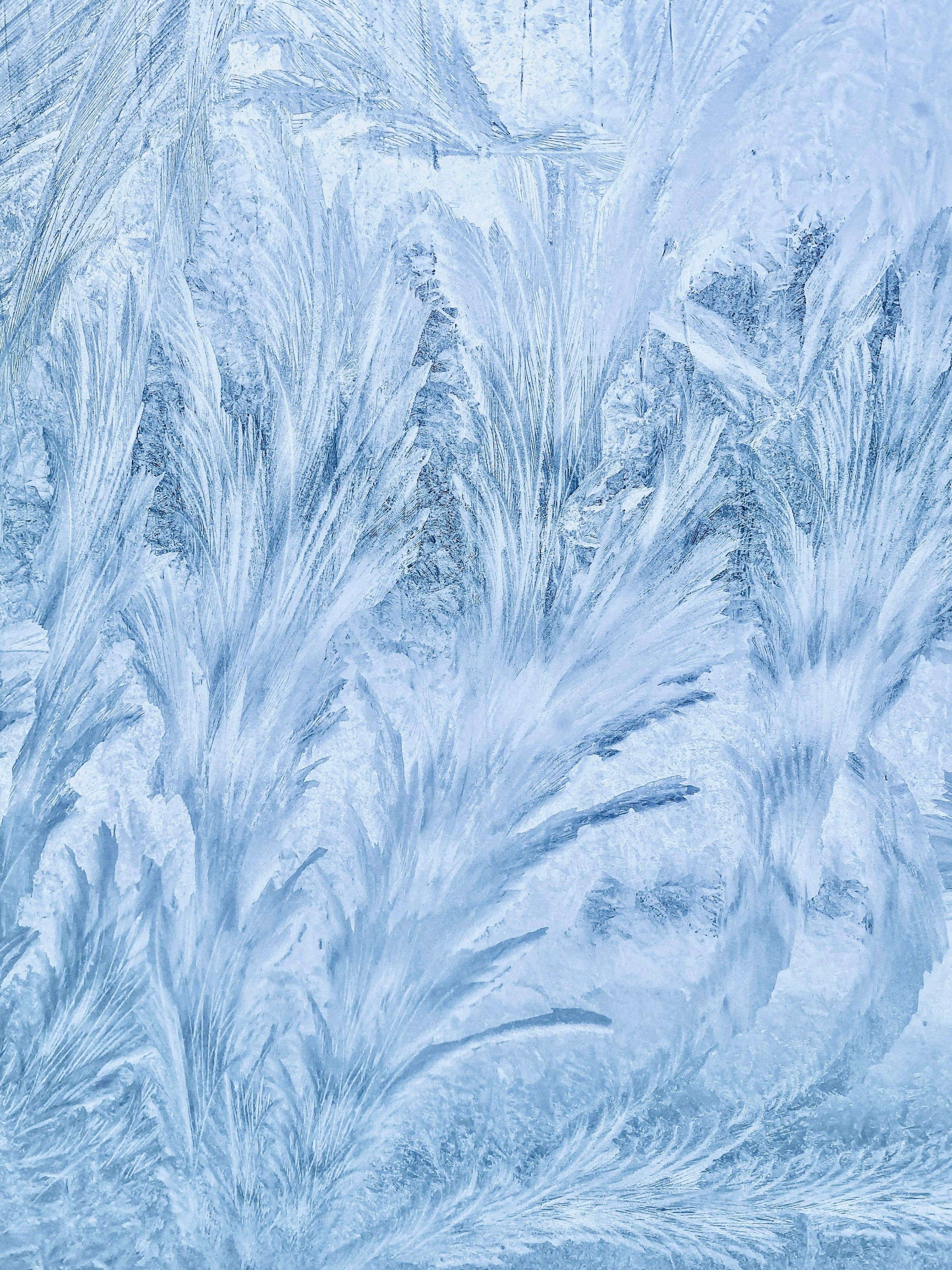 Ice crystals on a window
